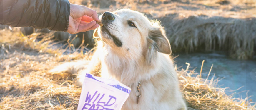 About Wildearth Homepage