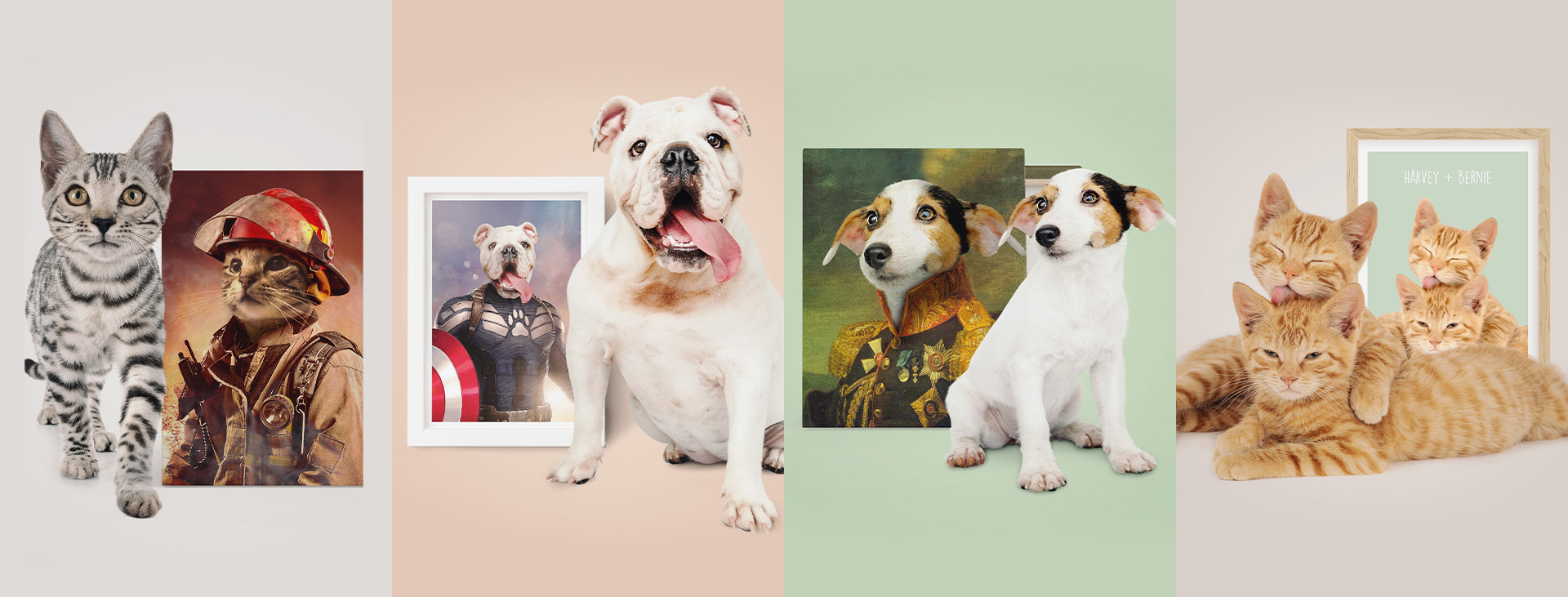 About Purr and Mutt Homepage