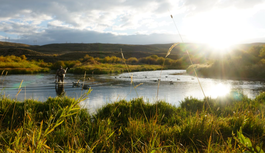 About Sportsman’s Warehouse Homepage