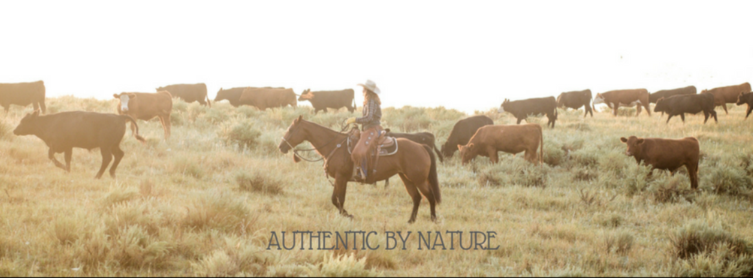 About Colorado Craft Beef Homepage