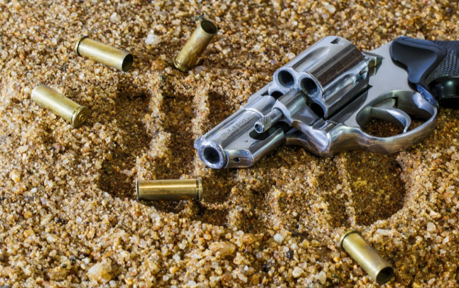 Handgun with bullets purchased with a Palmetto State Armory coupon