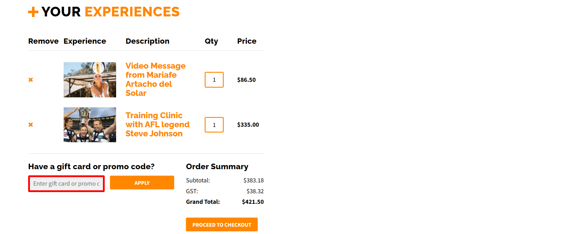 The brand checkout page with where to add the FAN+ discount code highlighted with a red box