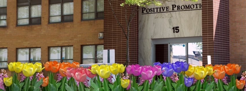 About Positive Promotions Homepage