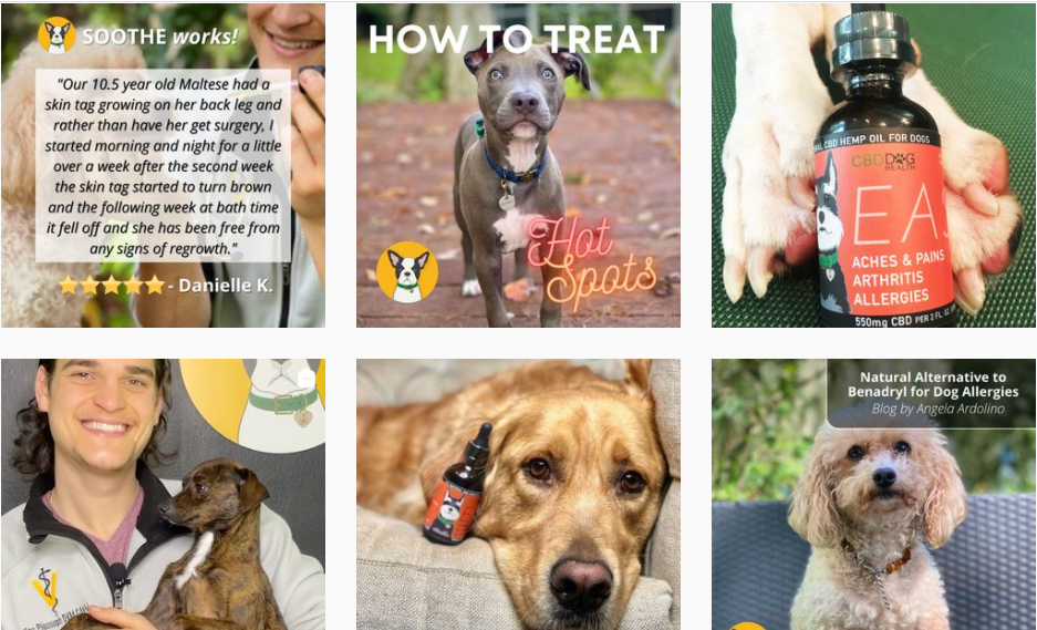 About CBDDOG HEALTH Homepage
