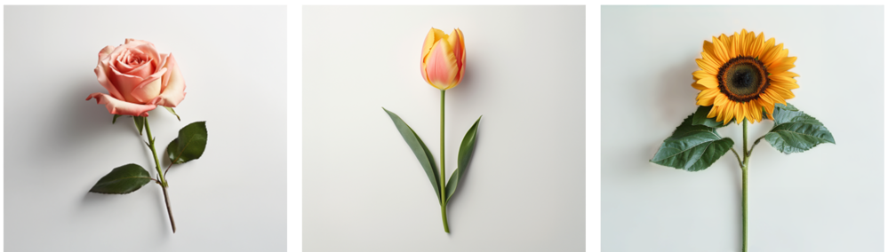 Drei jeweils verschiedene Blumen auf einer hellen Oberfläche