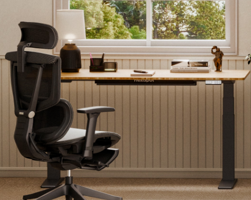 imagen de la web de FlexiSpot de estudio con escritorio y silla