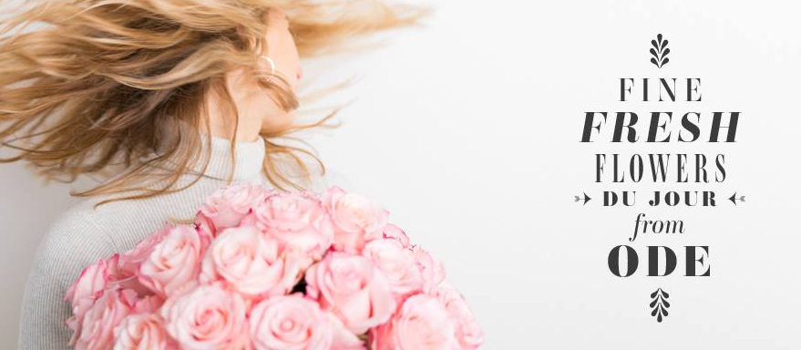 About Ode à la Rose Homepage