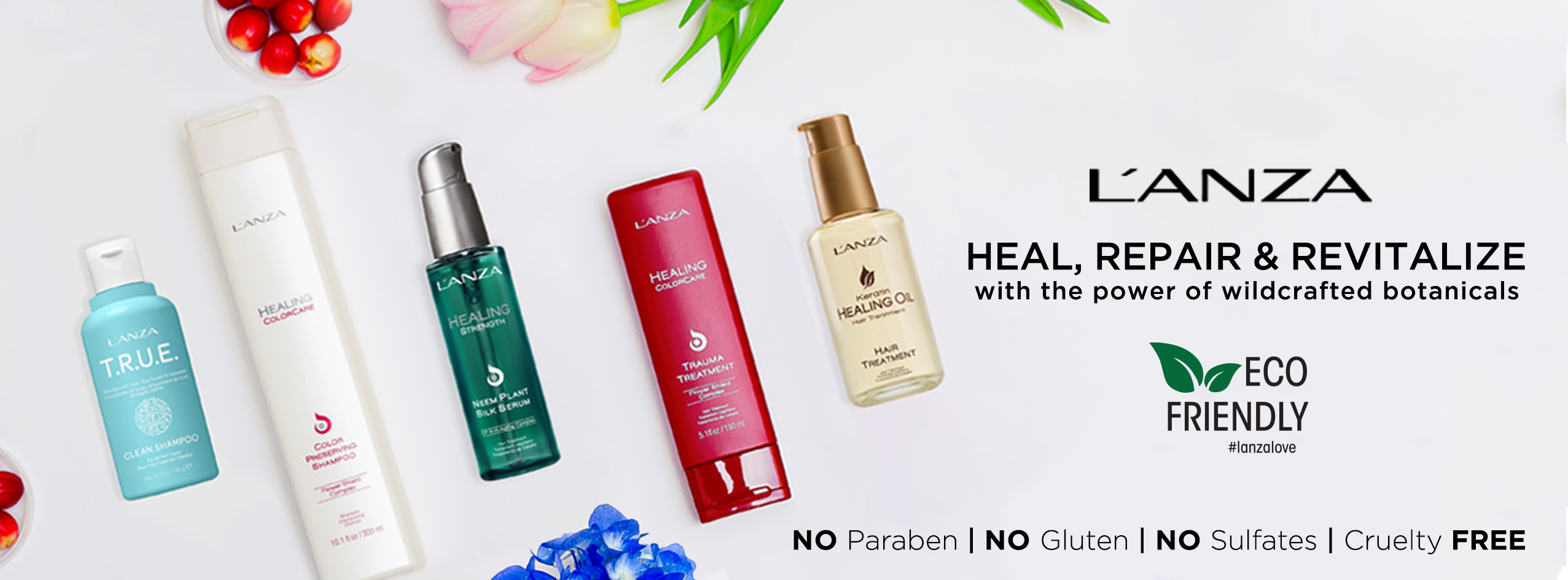 About L’ANZA Homepage