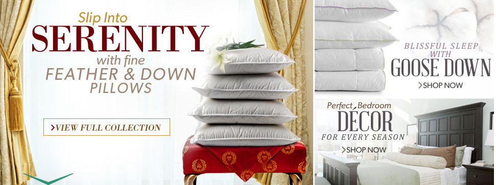 About DownPillows.com Homepage