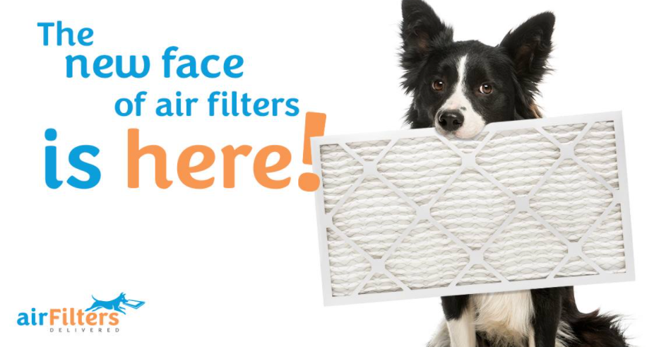 About Air Filters Delivered Homepage