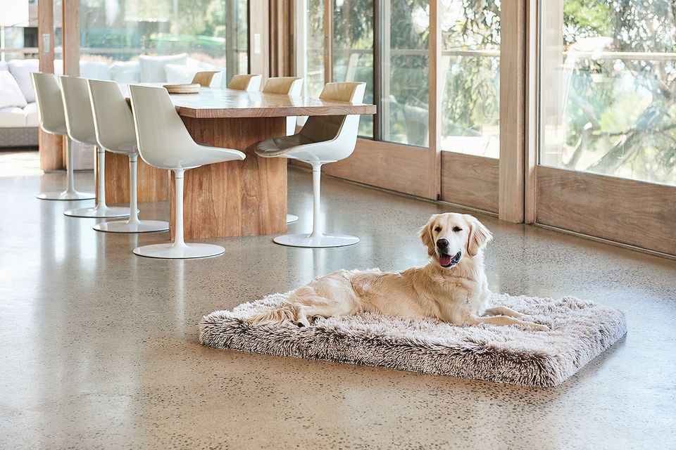 About Snooza Pet Products