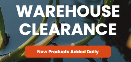 shopping at clearance section