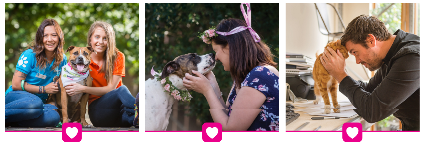 petstock