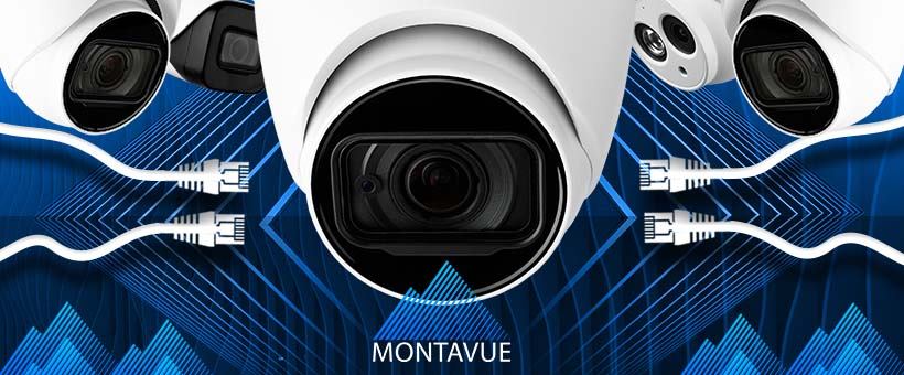 About Montavue Homepage