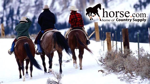 About Horse.com Homepage