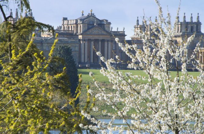 About Blenheim Palace Homepage
