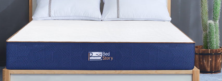 About Bed Story Homepage