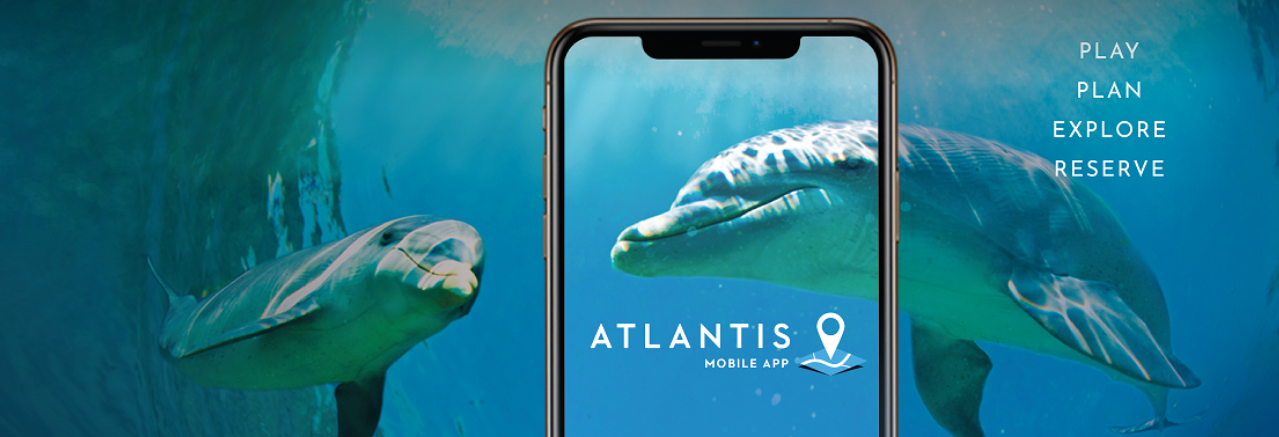 Mobile App