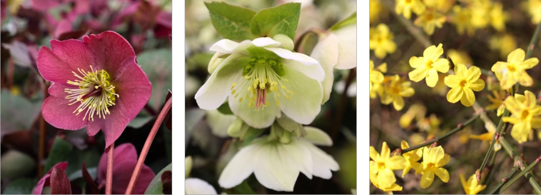 About Garden Goods Direct Homepage