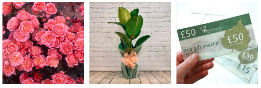 verified-5-off-tree2mydoor-discount-code-december-2025