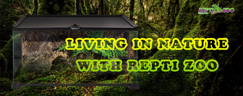 About REPTI ZOO