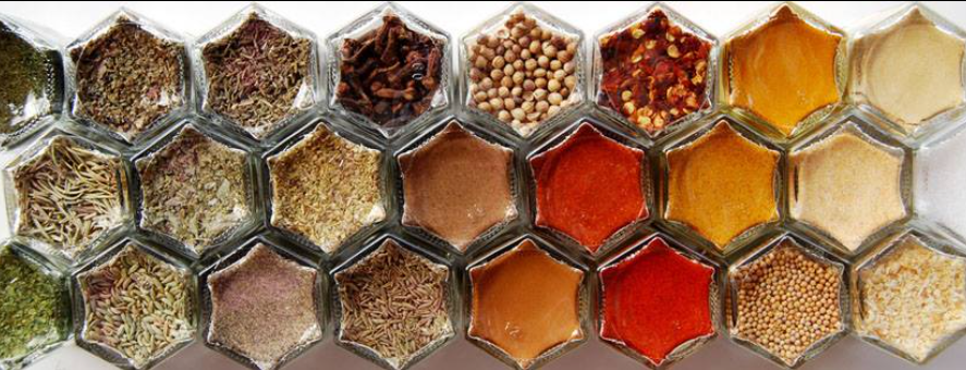 About Gneiss Spice Homepage