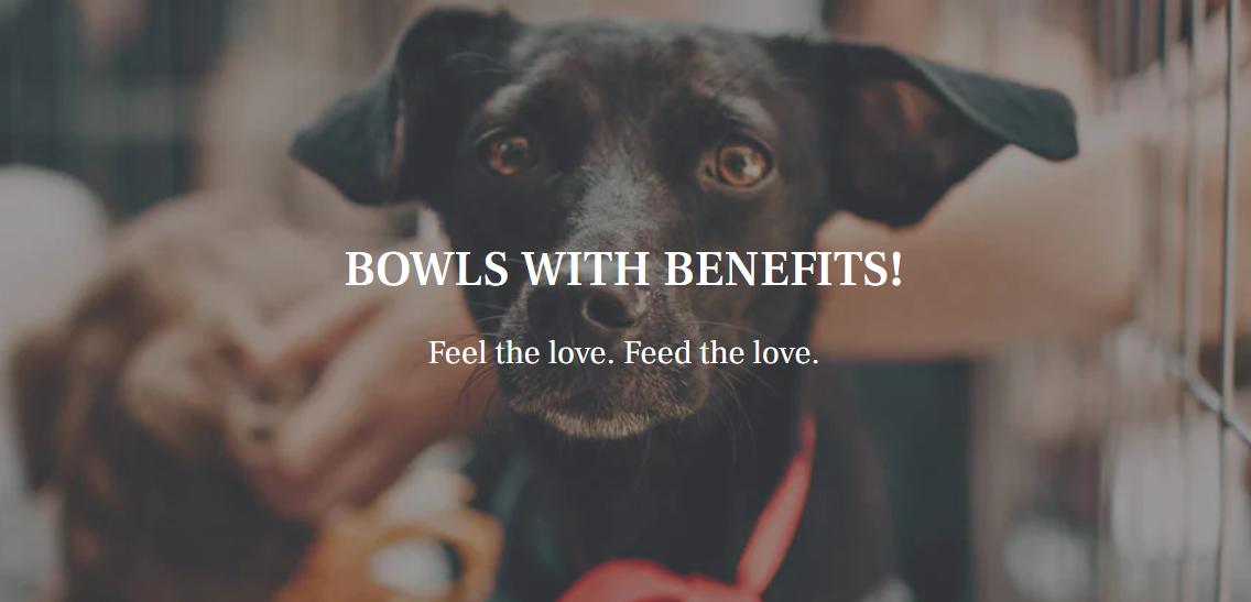 About Helpen Pets Homepage