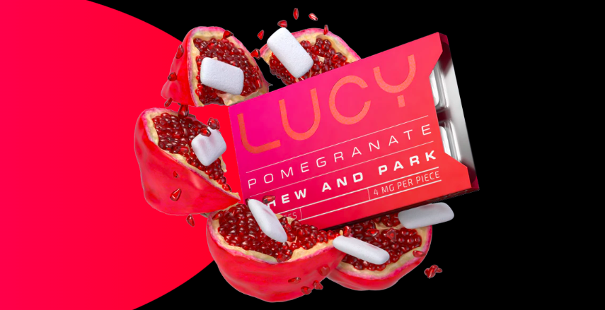 About Lucy Homepage
