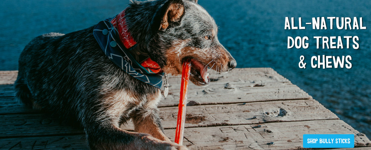 About Mybullysticks Homepage