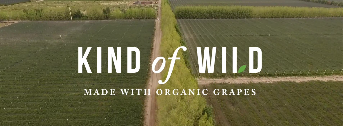 About Kind of Wild Homepage