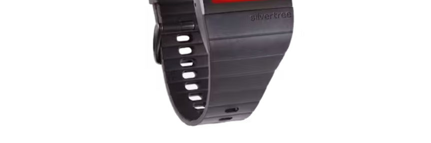 About Silver Tree Homepage