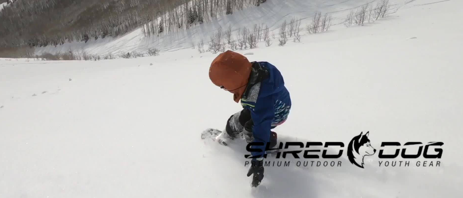 About Shred Dog Homepage