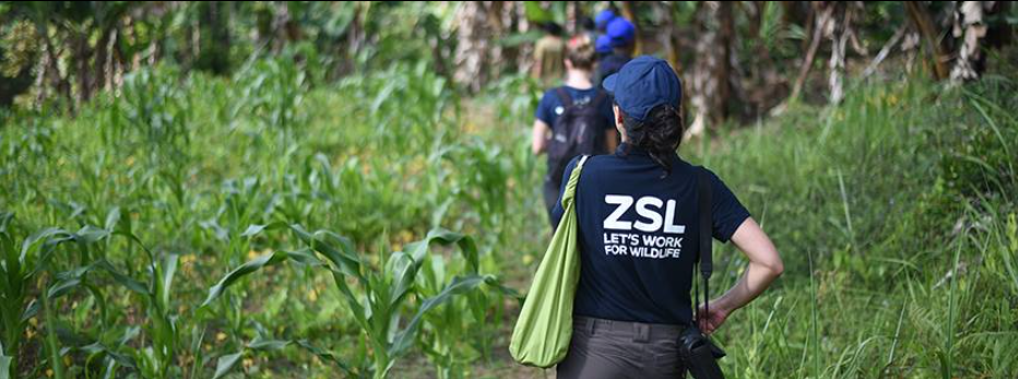 About Zoological Society of London Homepage