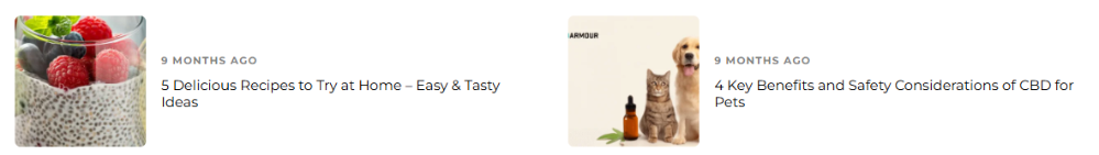 CBD Armour's blog showing a recipe article and one about CBD use on pets