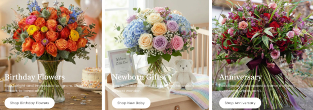 Flowers & Plants Co.  Verified 20% Off | Discount Codes June 2026