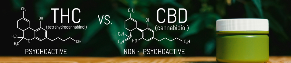 Chemical molecules of THC and CBD explained at CBD ONE