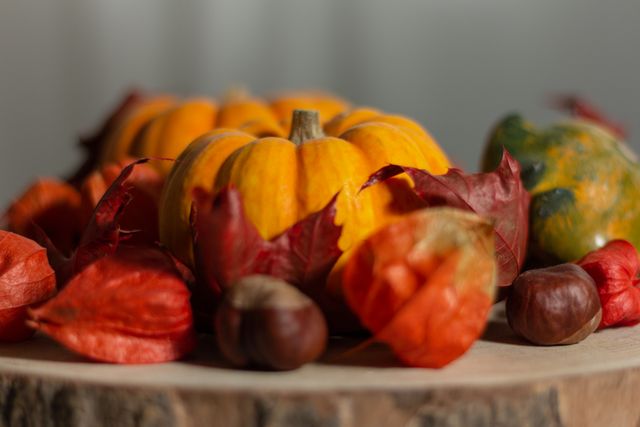 Holiday decorations that someone saved on with a Thanksgiving promo code