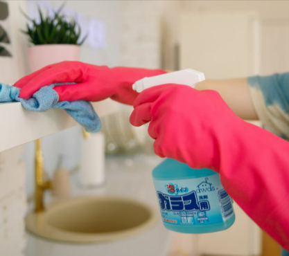 Household cleaning products available at Iceland