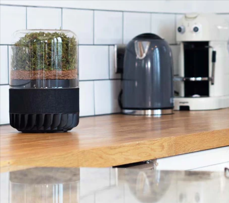 A Briiv filter in a home