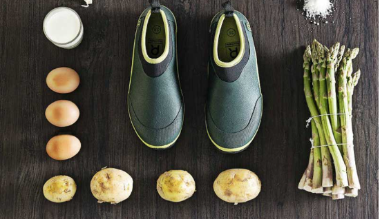 Get sustainable wellingtons which you can use when gardening