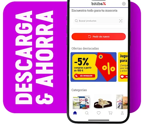 descarga la app de bitiba promoción sobre fondo purpura
