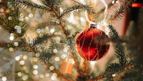 Eine rote Weihnachtskugel in einem Tannenbaum