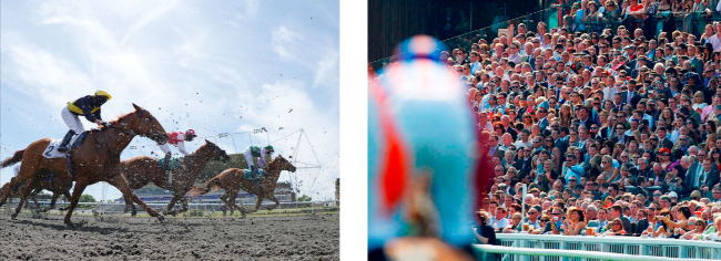 The Jockey Club  racing man on a horse and a crowd of people on the stand