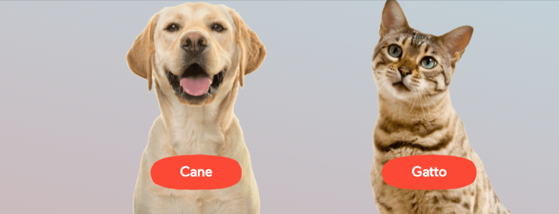 cane e gatto che attendono di utilizzare qualsiasi prodotto Bauzaar acquistabile a basso prezzo con un coupon Bauzaar