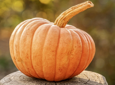 calabaza con fondo verde sobre un tronco de madera para promocionar ofertas Halloween