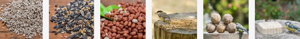 Popular bird food available to buy at CJ Wildlife