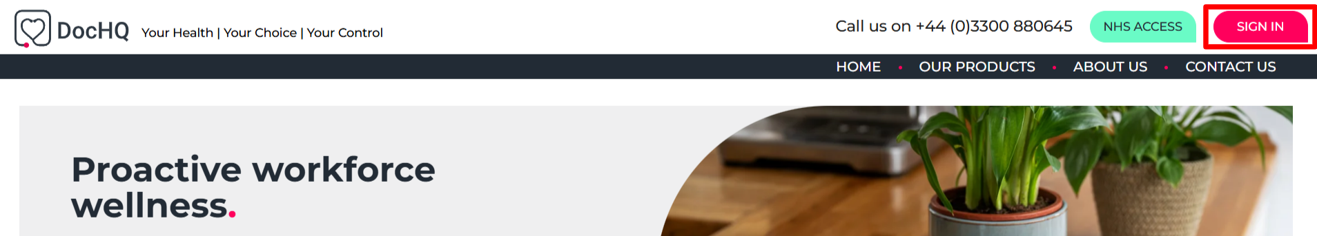 The DocHQ page and the sign-in tab the highlighted in a red box