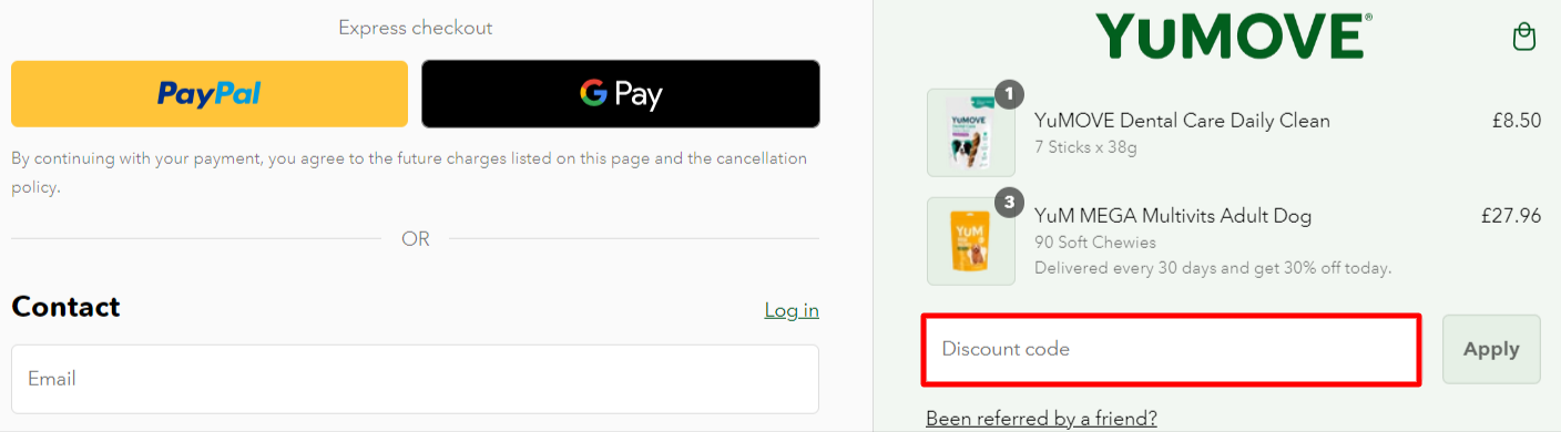 The checkout page showing different forms of payment and the discount code box.