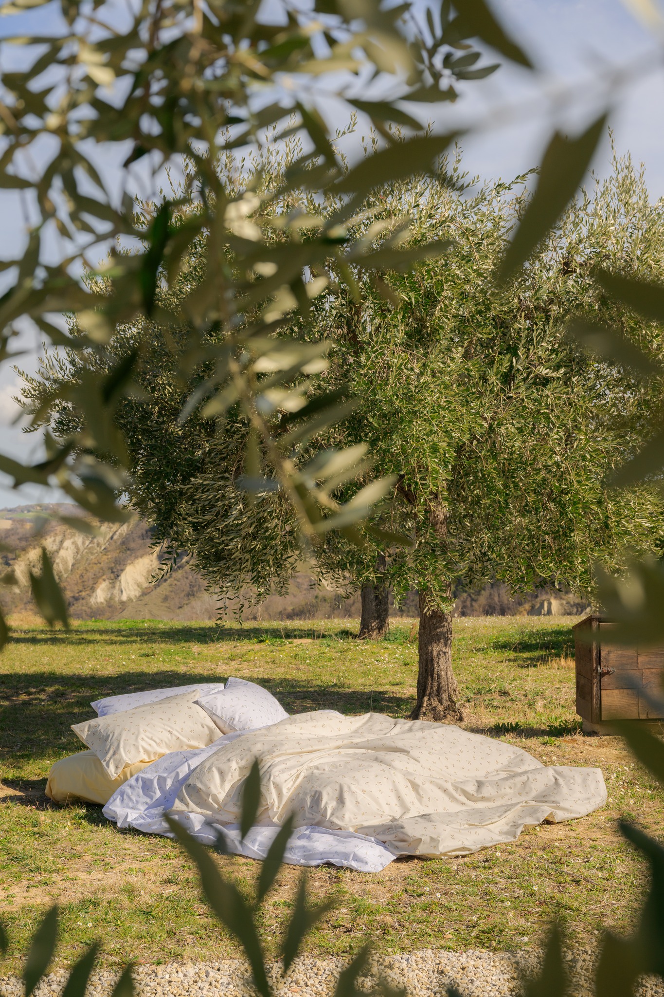 letto matrimoniale, situato nella natura, da poter comprare con un codice sconto Dalfilo