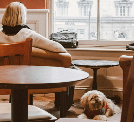A lady sitting with her dog